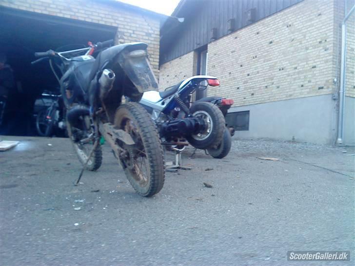 Suzuki Street magic - med de hvide skolde på billede 11