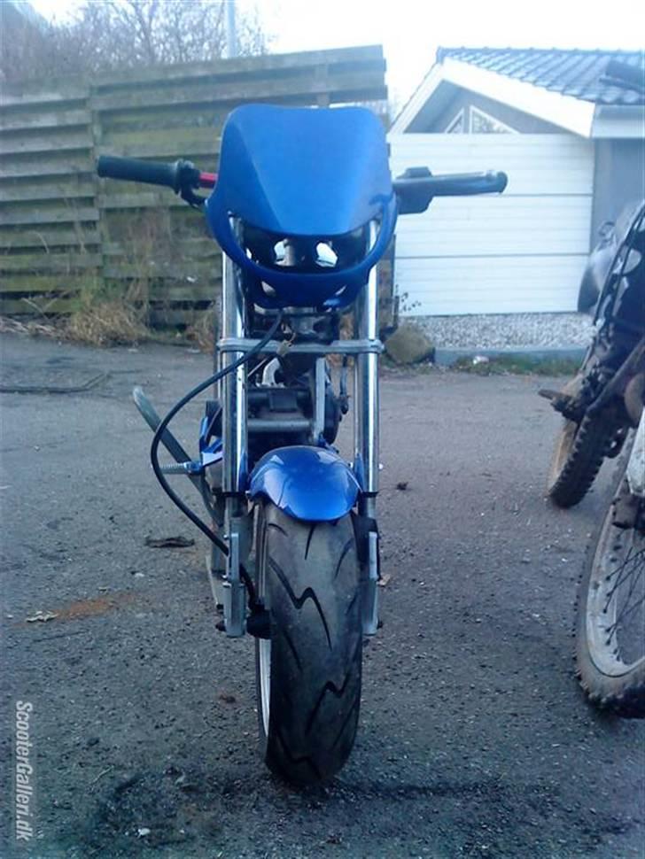 Suzuki Street magic - med de hvide skolde på billede 12