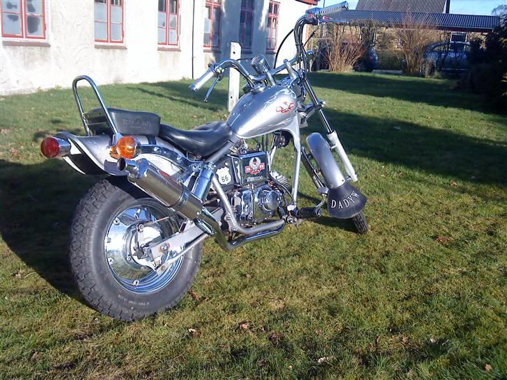 Regal Raptor [Byttet] billede 1