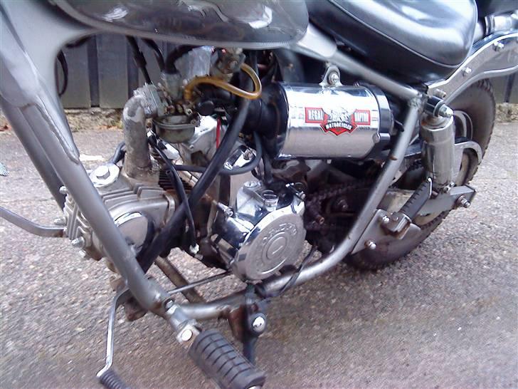 Regal Raptor [Byttet] billede 6