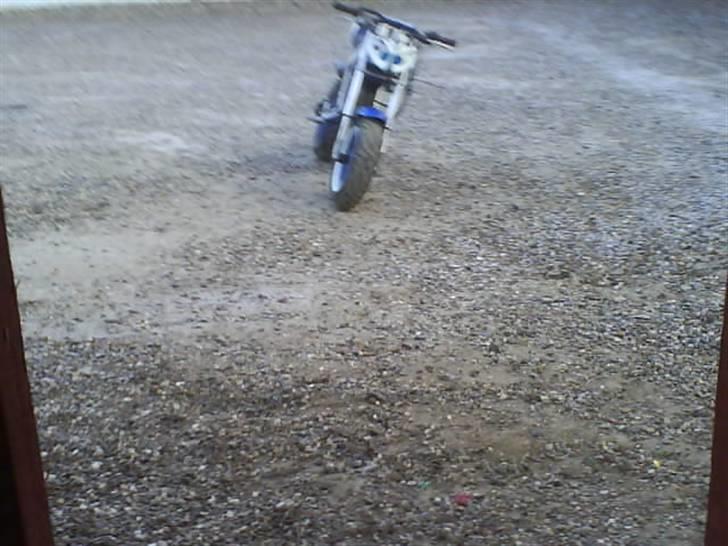 Suzuki street magic  billede 10