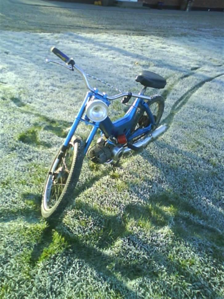 Puch Maxi P  # Byttet" #  - Forfra :b  billede 2