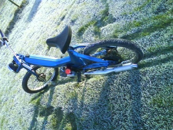 Puch Maxi P  # Byttet" #  - Bagfra :b  billede 3