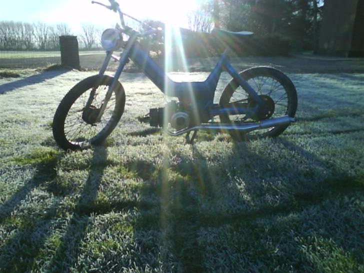 Puch Maxi P  # Byttet" #  - En dag i solen :b  billede 4
