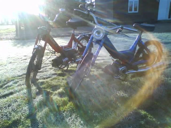 Puch Maxi P  # Byttet" #  - Maxi´erne en dag i solen (:  billede 5