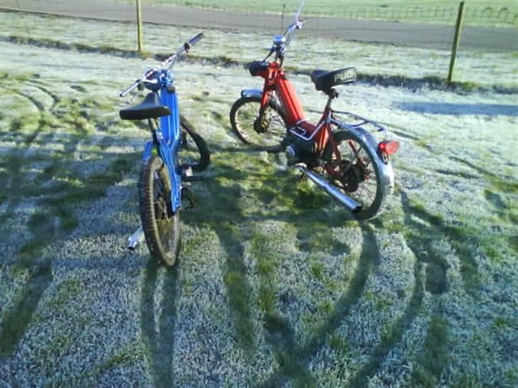 Puch Maxi P  # Byttet" #  - Maxi´erne en dag i solen (:  billede 6