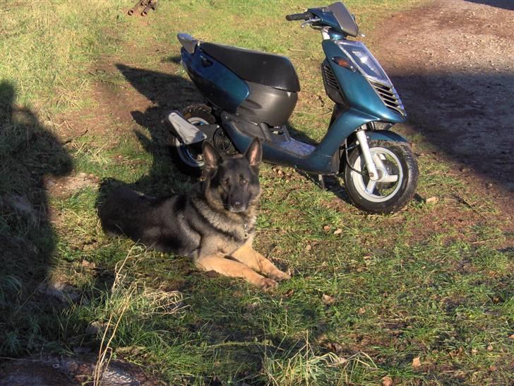 Aprilia Sonic <3 Før billede 2