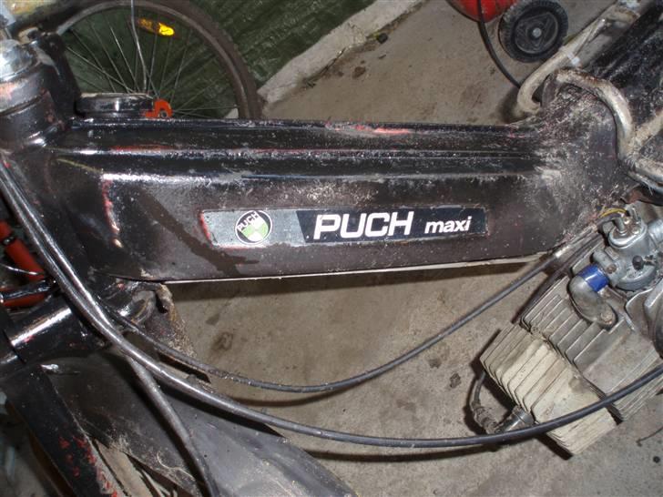 Puch Maxi billede 8