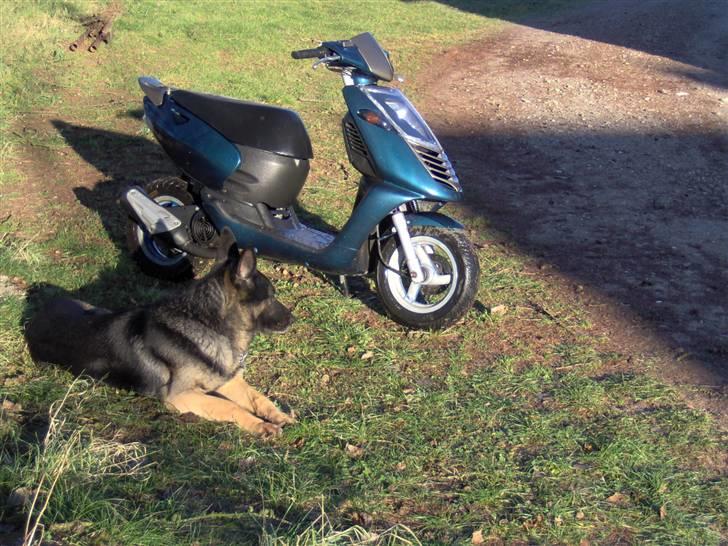 Aprilia Sonic <3 Før billede 5