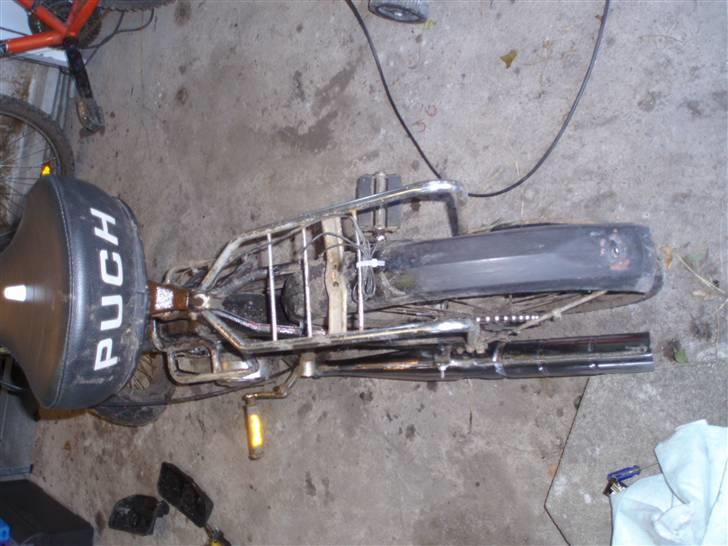 Puch Maxi billede 12