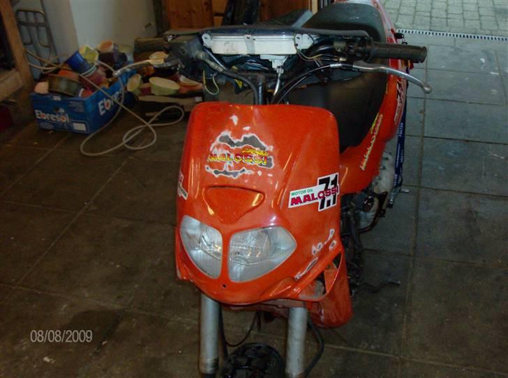 Aprilia rally   - sårn ser mine andre skjolde ud billede 1