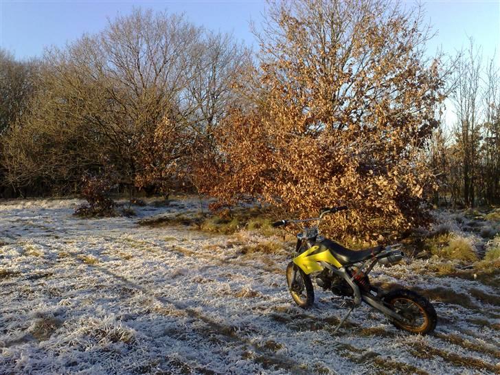 MiniBike Ducar 125 CCM [SOLGT] billede 2