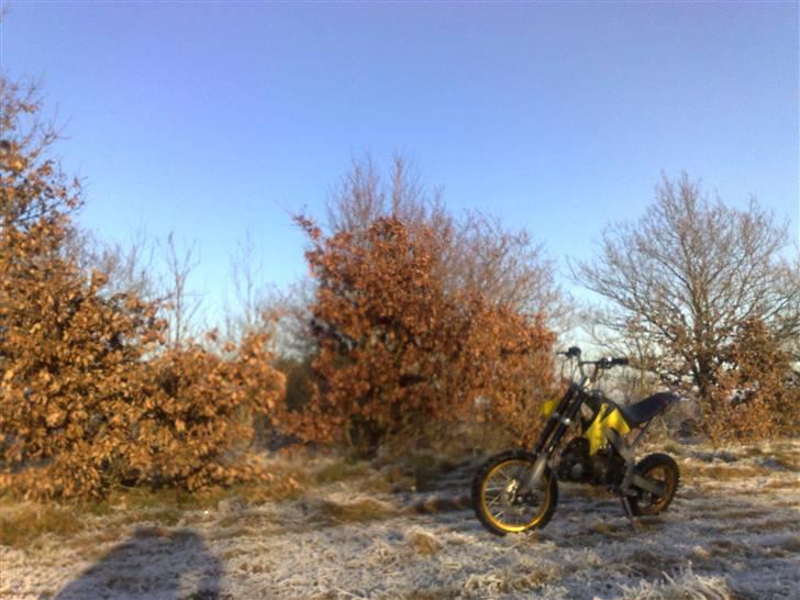 MiniBike Ducar 125 CCM [SOLGT] billede 3