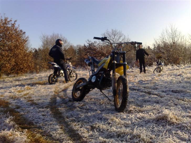 MiniBike Ducar 125 CCM [SOLGT] billede 4