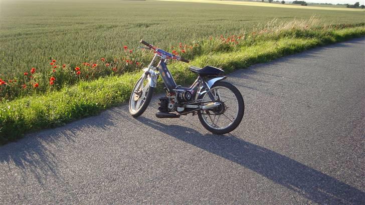 Puch maxi 75ccm billede 7