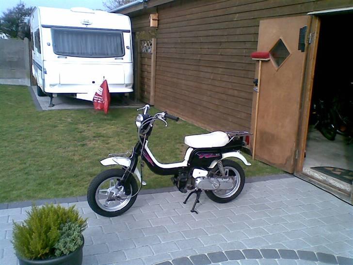 Suzuki FZ50 "JYTTE" SOLGT billede 8