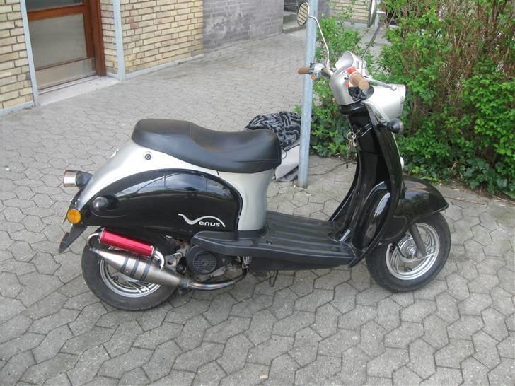 Giantco Venus billede 2