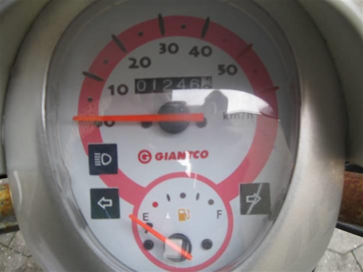 Giantco Venus billede 3