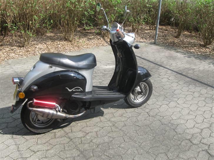 Giantco Venus billede 4