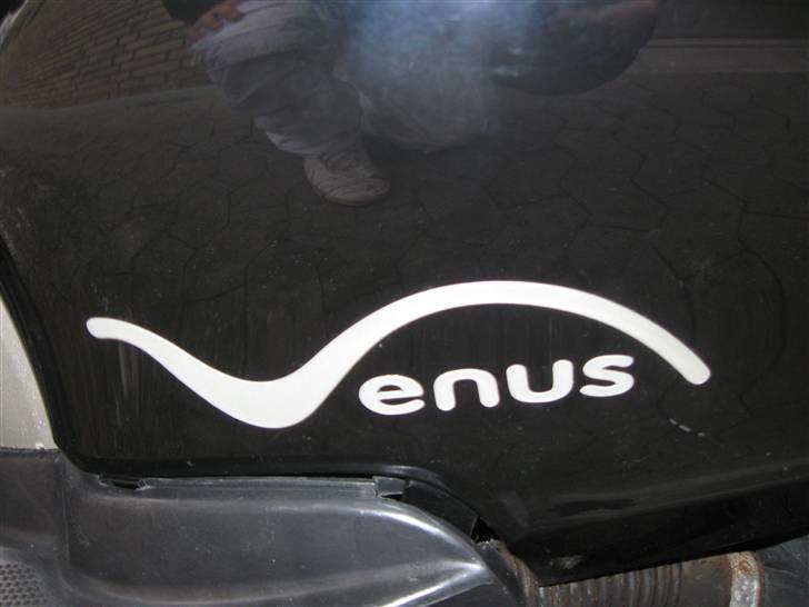 Giantco Venus billede 6