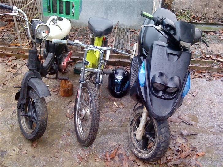 Puch Maxi KL<3 Byttet billede 14