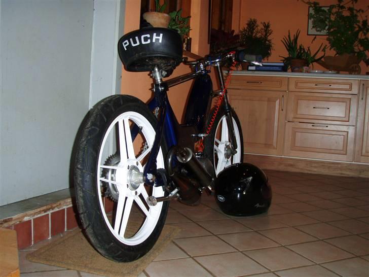 Puch maxi k>gilardoni projekt< billede 4