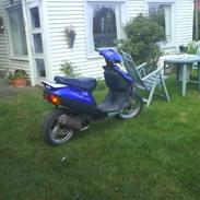 Adly silwerfox  [solgt]