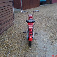 Honda Camino -:SOLGT:-
