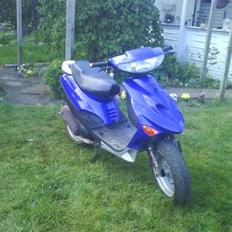 Adly silwerfox  [solgt]