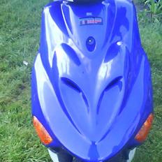 Adly silwerfox  [solgt]