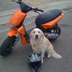 Yamaha slider (( STJÅLET))