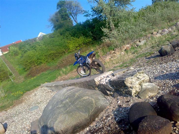 Suzuki rmx billede 4