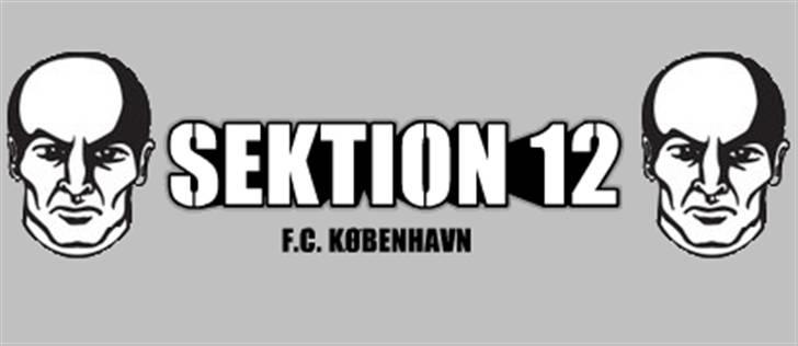 MiniBike crosser billede 11