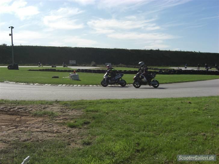 Gilera Runner LC DD  billede 12