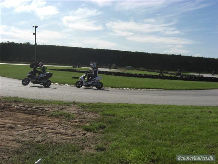 Gilera Runner LC DD  billede 13