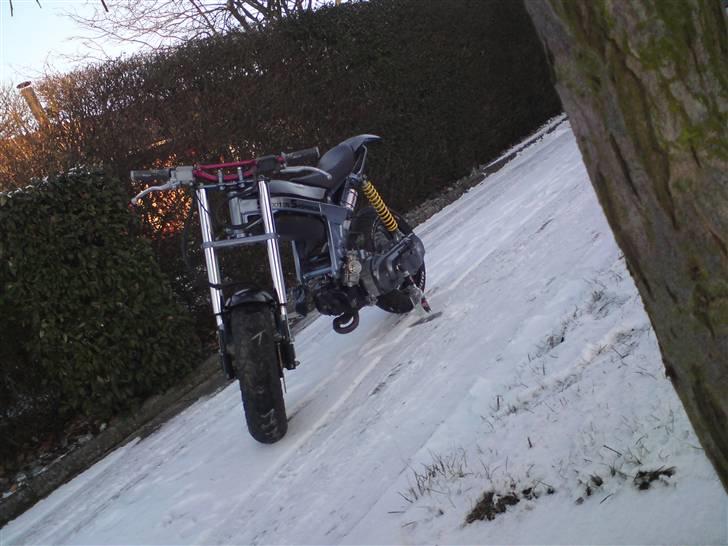 Suzuki Street'Rox /EVO - første gang i lyset efter renovering. normalt ikke et vejr den ser noget til, men der skulle tages billeder :) billede 3