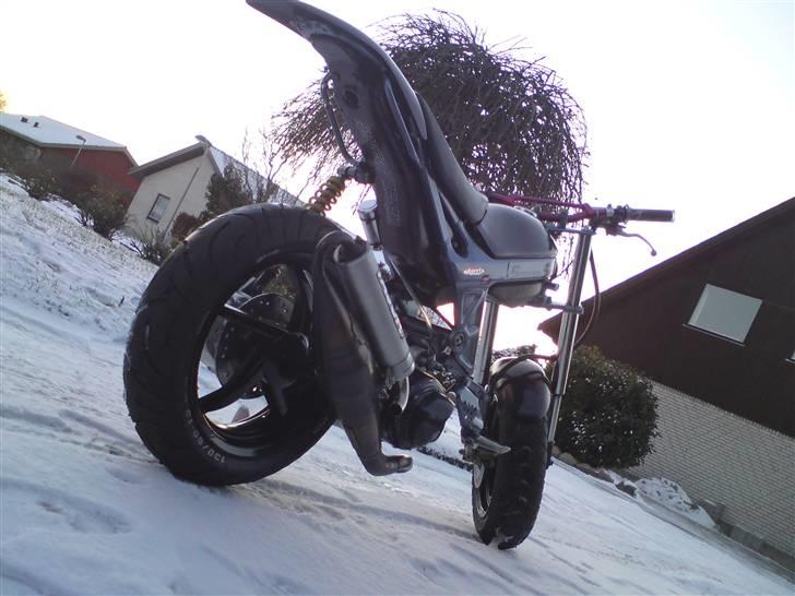 Suzuki Street'Rox /EVO - første gang i lyset efter renovering. normalt ikke et vejr den ser noget til, men der skulle tages billeder :) billede 5