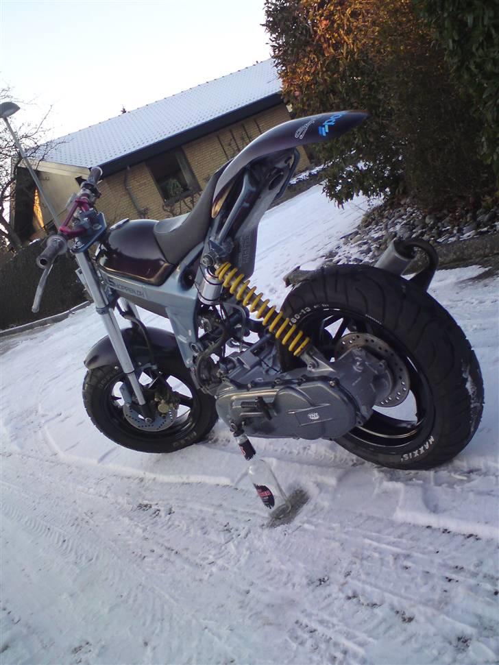 Suzuki Street'Rox /EVO - første gang i lyset efter renovering. normalt ikke et vejr den ser noget til, men der skulle tages billeder :) billede 14