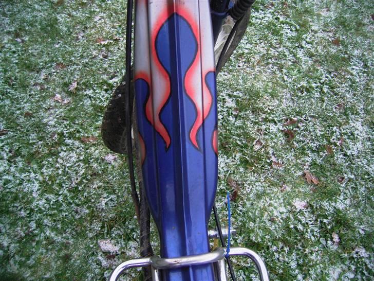 Puch maxi/hot50 billede 1