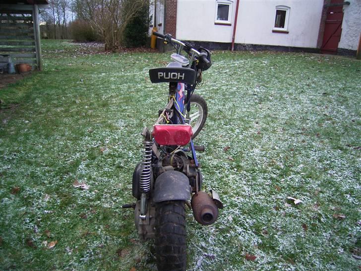 Puch maxi/hot50 billede 5