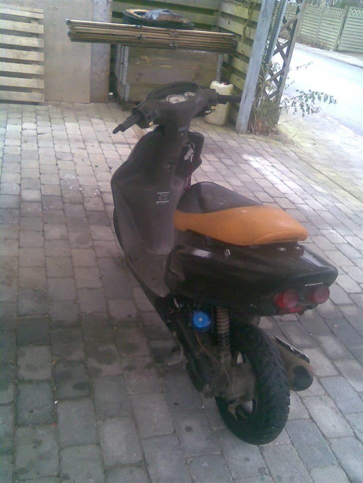 Honda Sfx Sport {Solgt} billede 3