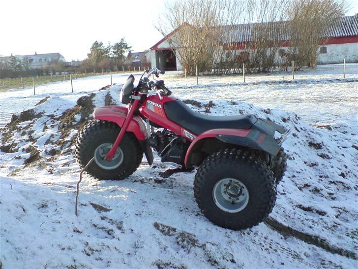 Honda ATC 125M billede 1