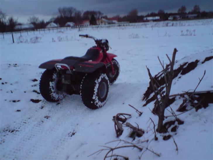 Honda ATC 125M billede 4