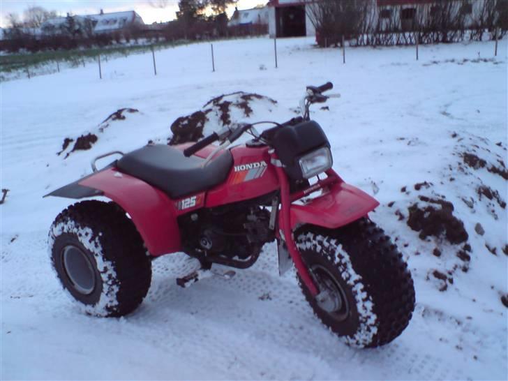 Honda ATC 125M billede 5