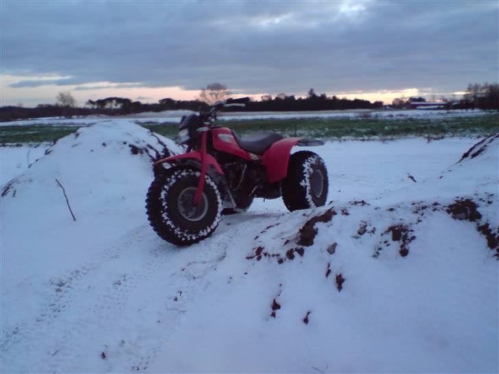 Honda ATC 125M billede 6