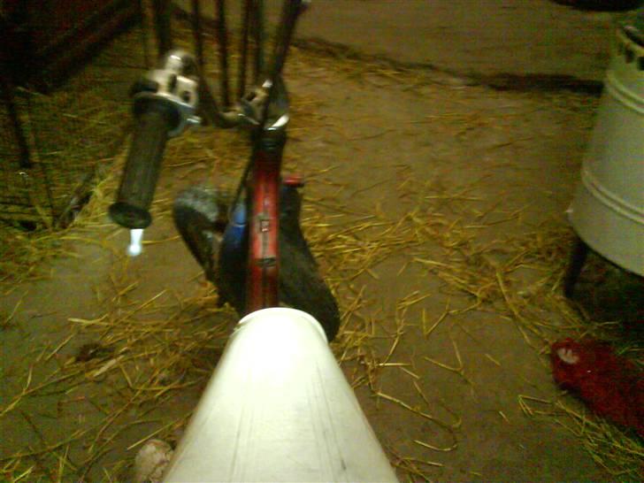 Suzuki fz 50 [solgt] billede 1