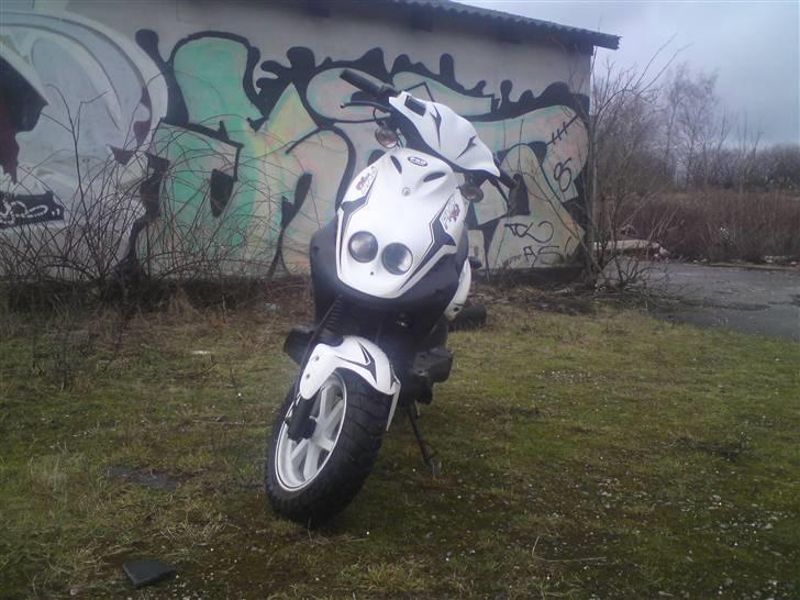 PGO Pmx sport 2008 Til salg billede 2