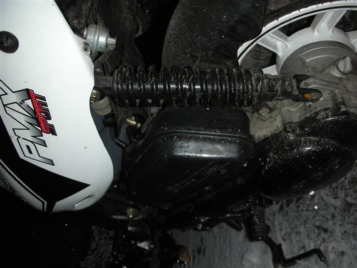 PGO Pmx sport 2008 Til salg billede 6