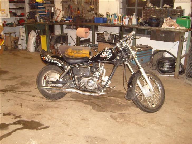 Regal Raptor solgt billede 1