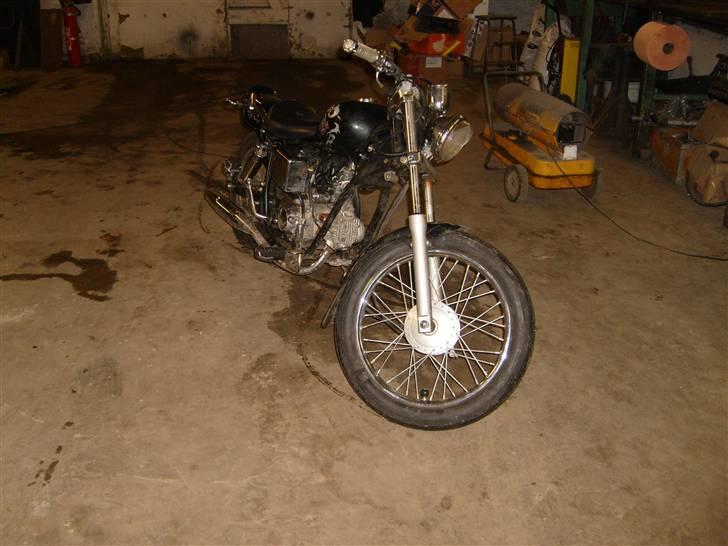 Regal Raptor solgt billede 2